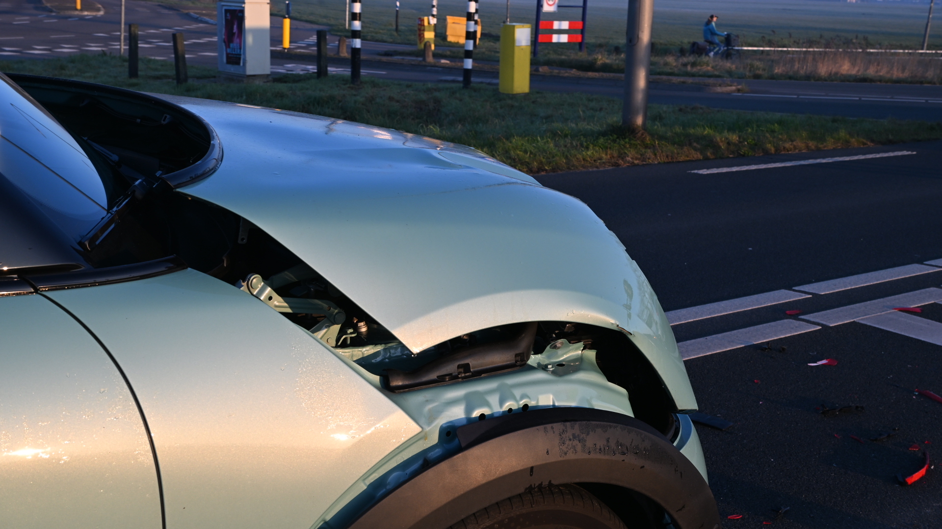 Foto: kopstaart egmond.JPG